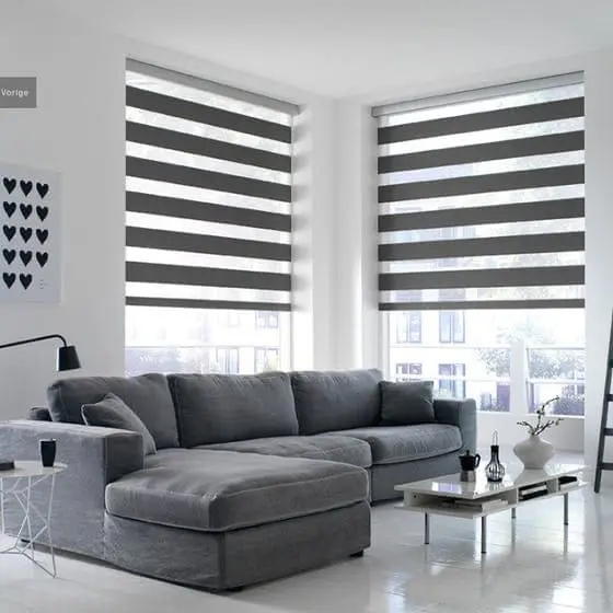 Vision Blinds